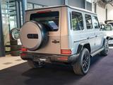 Mercedes-Benz G 450 d AMG Line MATT Night SUPERIOR Carbon 360° - Automatik Gebrauchtwagen in Gießen