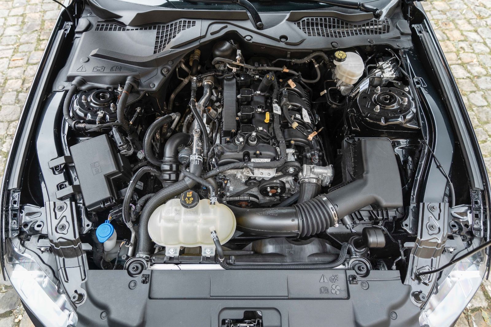 Fahrzeugabbildung Ford Mustang 2,3L Ecoboost LED KAM TOTW SZH ALC