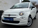 Fiat 500 Basis/1.Hd/Garantie/Gepflegt- - : Weiß, Kleinwagen