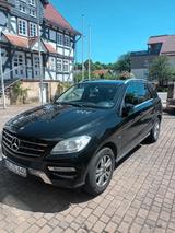 Mercedes-Benz ML 250 BlueTEC 4MATIC - - Mercedes-Benz ML 250 mit Panoramadach