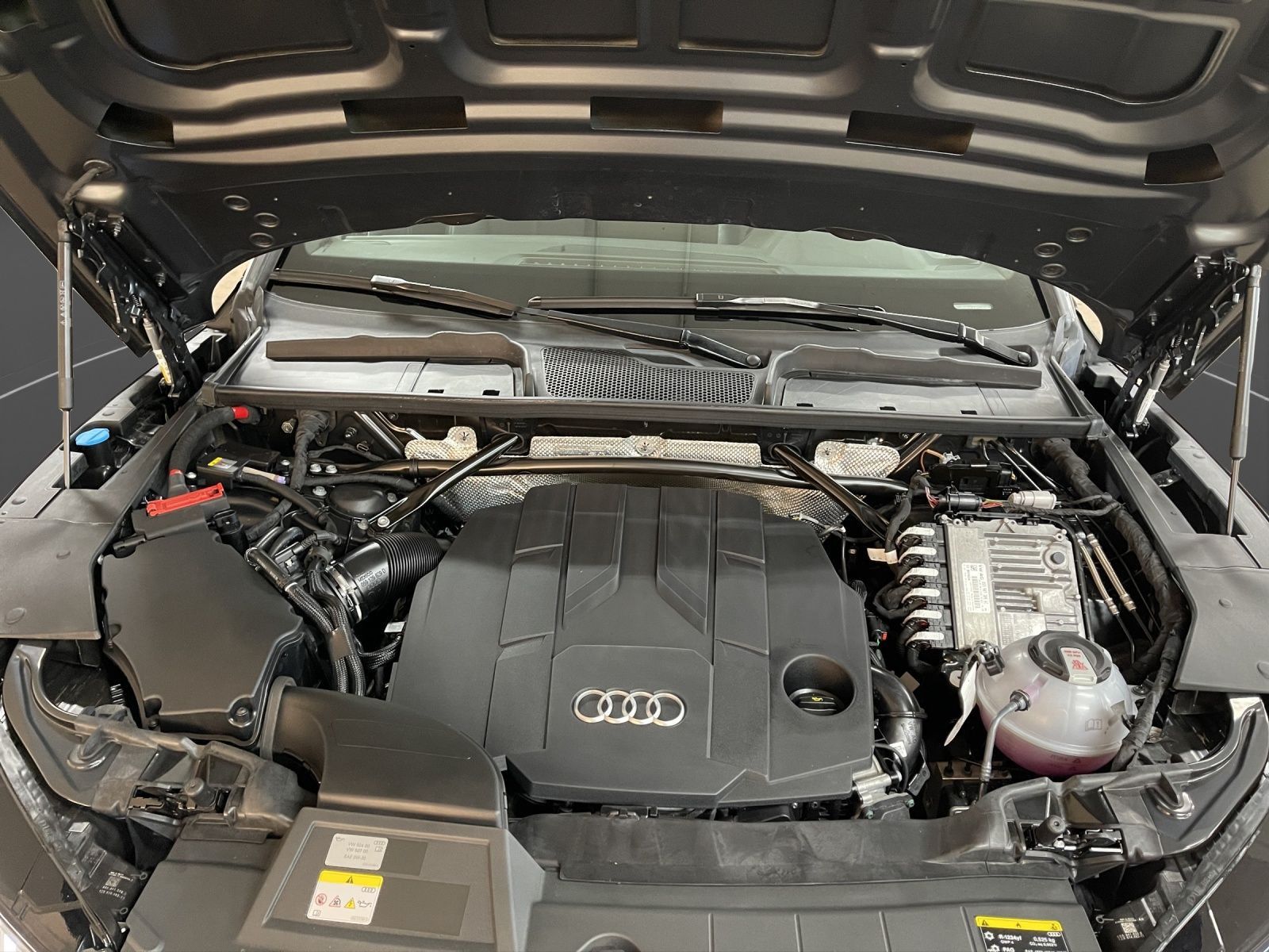 Audi Q5 - Bild 20