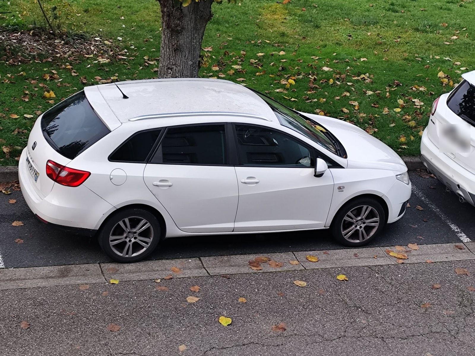 Seat Ibiza 2010 — rear view