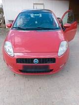 Fiat Punto - Fiat Punto von 2026