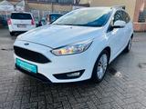 Ford Focus BusinessPDC SHZ LHZ SBP NAVI ZAHNRIEMENNEU - Ford Focus: Zahnriemen
