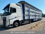 Volvo FH 460 Mega mit Finkl 3 Stock LOF möglich - Radlader
