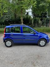 Fiat Panda 1.2 8V Dynamic /Bj.2007 / Top Gepflegt  - Fiat Panda in Düsseldorf