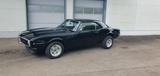 Pontiac Firebird V8 H-Zulassung Speedshifter Muscle-Car - Pontiac Firebird: Coupé
