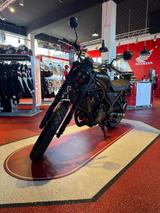 Honda CL500AP SCRAMBLER **DER ETWAS ANDERE SCRAMBLER** - HONDA SCRAMBLER