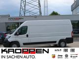 Fiat Ducato 35 L3H2,Klima,Holz,Kamera,Navi.Kamera, - Fiat Ducato in Bochum