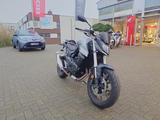 Honda CB750 Hornet *1.Hand*neue Reifen*Quickshift*WS* - HONDA CB750 HORNET