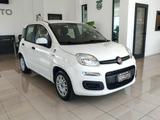 Fiat Panda 1.2 Fire 69cv 2016 - Fiat Panda: Fire