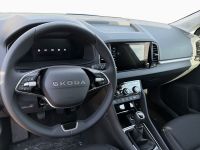 Skoda Karoq - Vorschau Bild 11