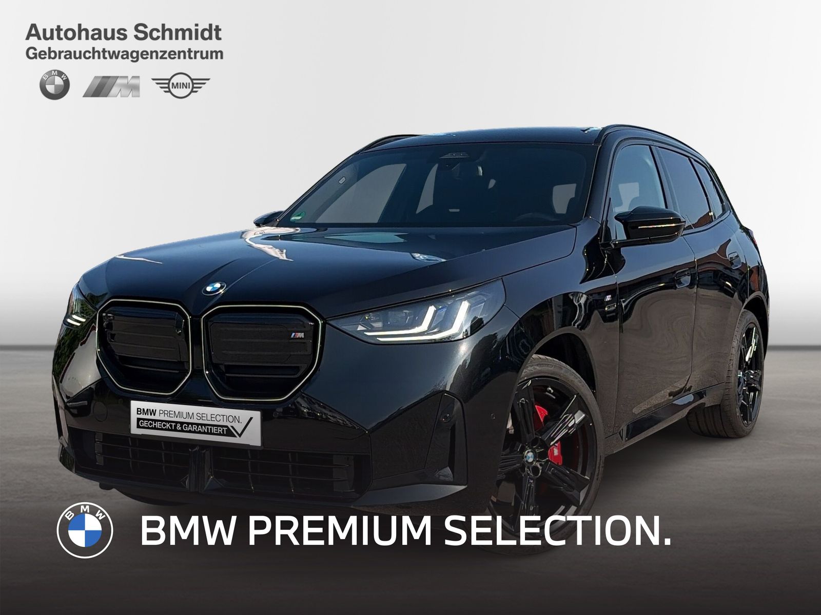BMW X3 M50 - Bild 1