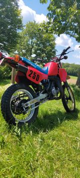 Suzuki TS250X - Angebote entsprechen deinen Suchkriterien