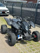 Triton Baja 400 Black Lizard - Offers
