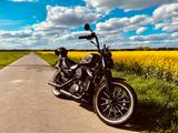 Harley-Davidson Iron 883 XL  Frühjahrsangebot - HARLEY-DAVIDSON VON 751 BIS 1000 CCM
