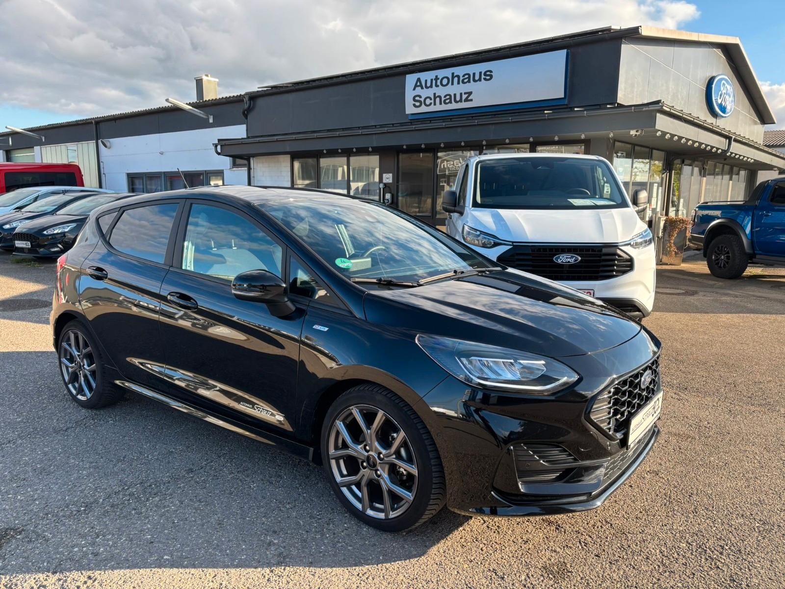 Ford Fiesta ST-Line ACC, Kamera