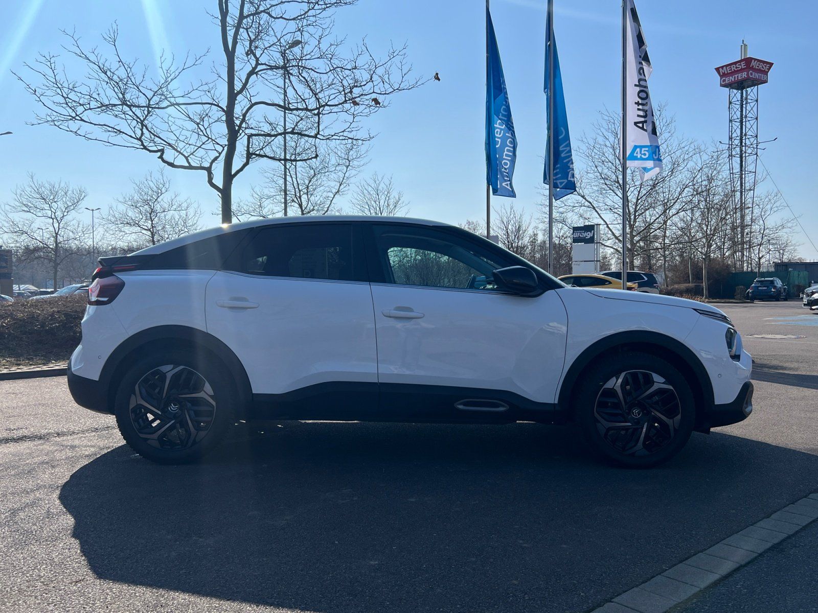 Fahrzeugabbildung Citroën C4 PureTech 130 Shine Kälte Paket Navi DAB Klima