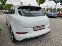 GWM Ora 03 - Vorschau Bild 5