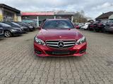 Mercedes-Benz E 220 T BlueTec 9-G Avantgarde ILS DESIGNO NAVI - Mercedes-Benz E 220: Rot