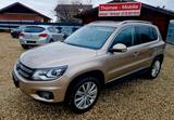 Volkswagen Tiguan Cup-Sport 4Motion Topausstattung - : Beige, Schiebedach