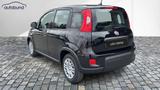 Fiat Panda 1,0  Hybrid (MHEV) Pandina Base NBA PDC SH - Gebrauchtwagen in Bielefeld bis 15.000 Euro
