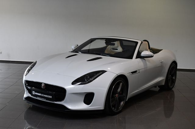 Jaguar F-Type Cabrio Performance-Sitze Sportauspuff 20"