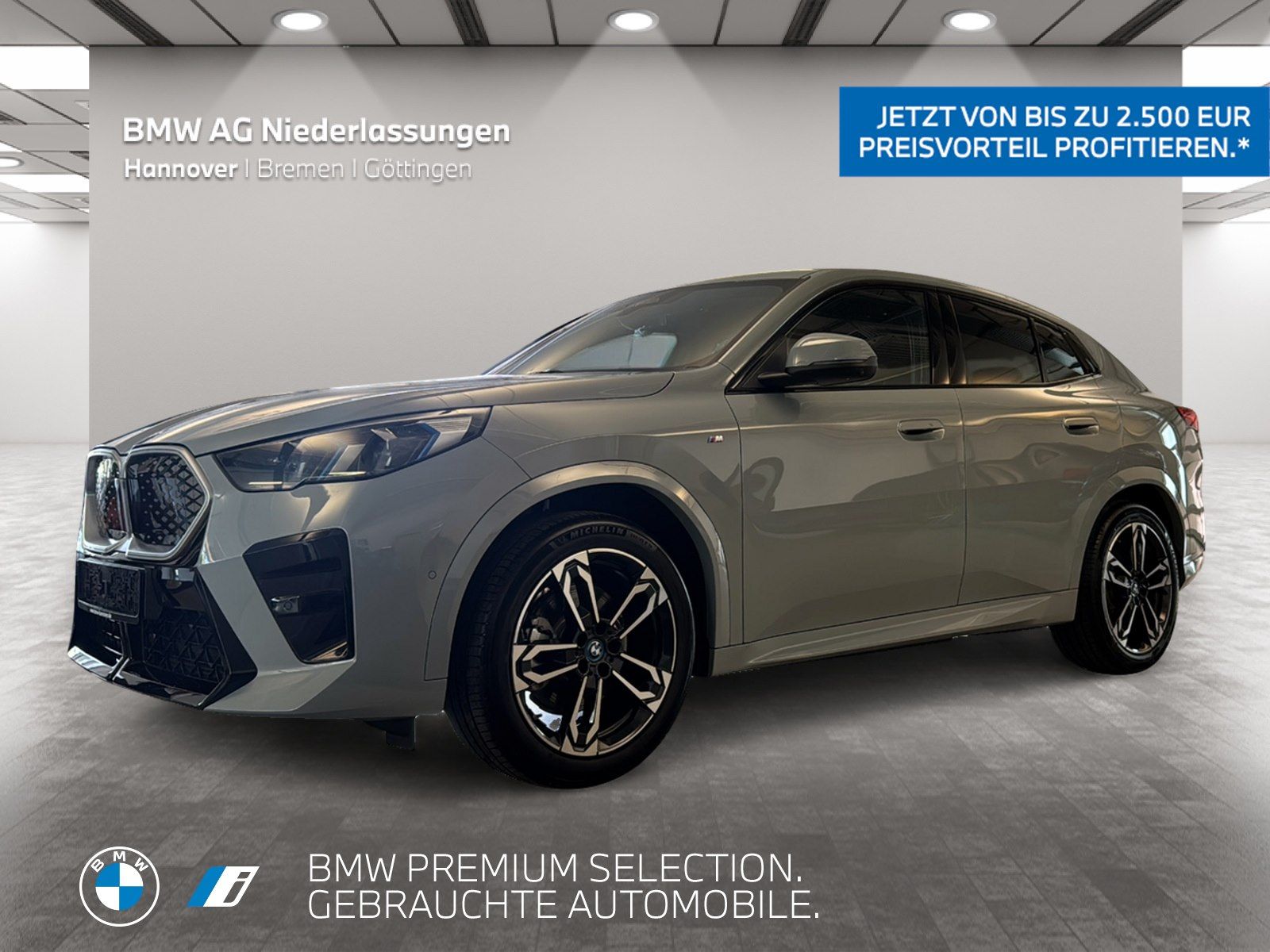 BMW iX2 xDrive30 M Sport AHK Driv.Assist.Prof LED foto 1