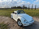 Volkswagen VW Käfer Cabrio Mexico, Bj. 1984  nur 62.... - Volkswagen: Mexico