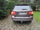 Mercedes-Benz ML 250 BlueTEC 4MATIC - - Mercedes-Benz ML 250 aus 2012