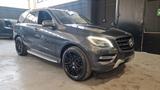 Mercedes-Benz Mercedes-benz ML 350 250 BlueTEC 4Matic Premium - Mercedes-Benz ML 250 aus 2015
