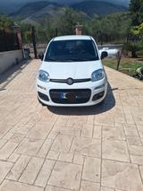 Fiat Panda 0.9 TwinAir Turbo S&S 4x4 Trussardi V - Fiat Panda TRUSSARDI