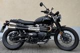 Triumph 900 Street Scrambler - TRIUMPH SCRAMBLER