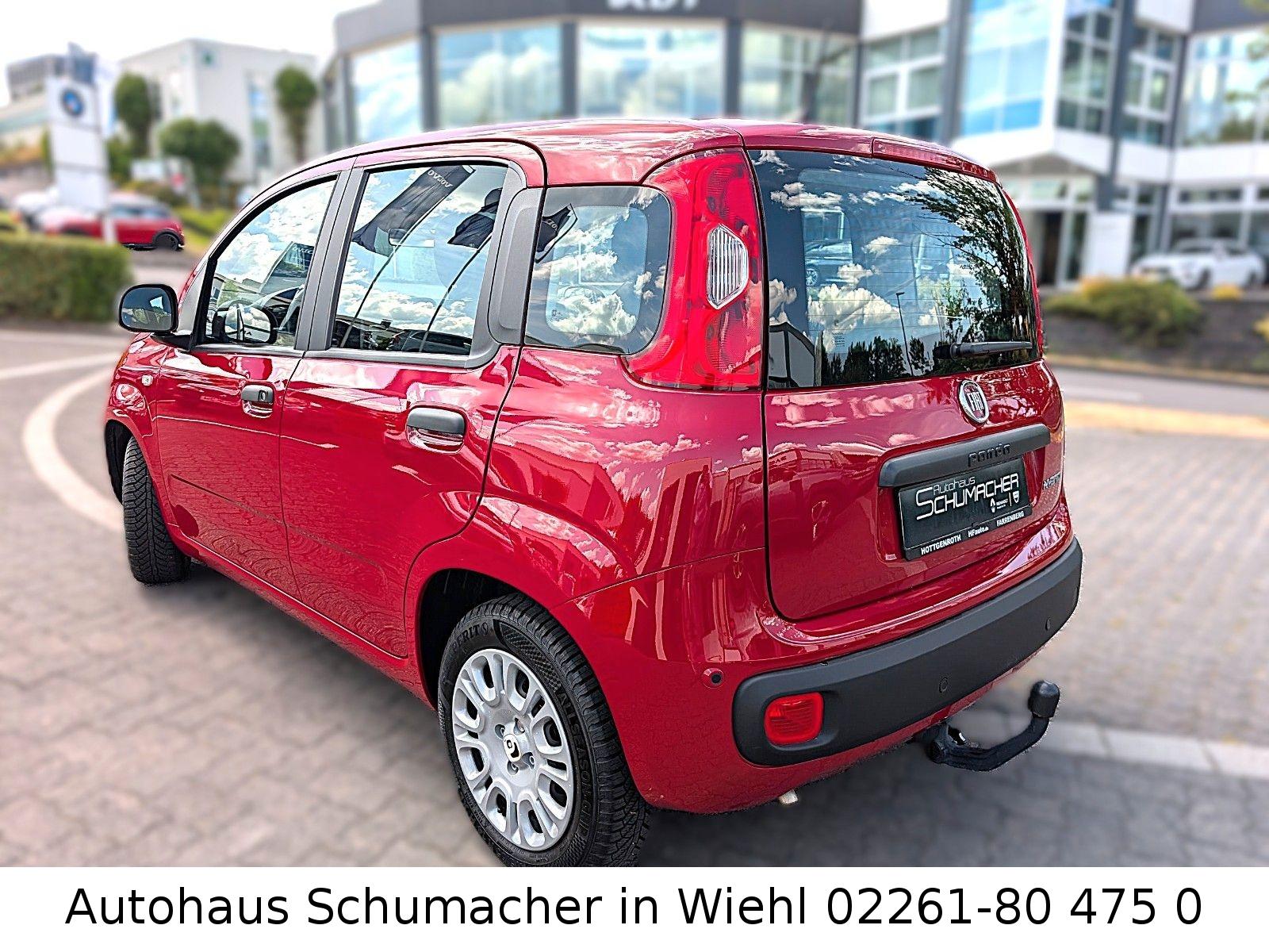 Fiat Panda Base Hybrid *AHK,GJR,GARANTIE*