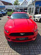 Ford Mustang 3,7  "LPG GAS - Ford mit Benzin-Antrieb: Coupé