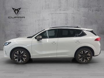 Cupra Terramar - 4
