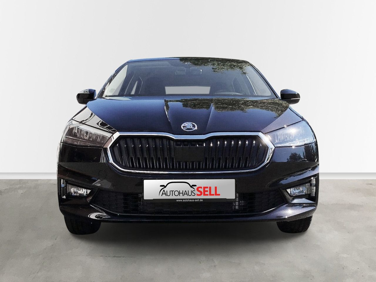 Fahrzeugabbildung SKODA Fabia Selection