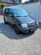 Fiat Panda 1,2 mit 84.000 km, sehr guter Zustand - Fiat Panda in Köln