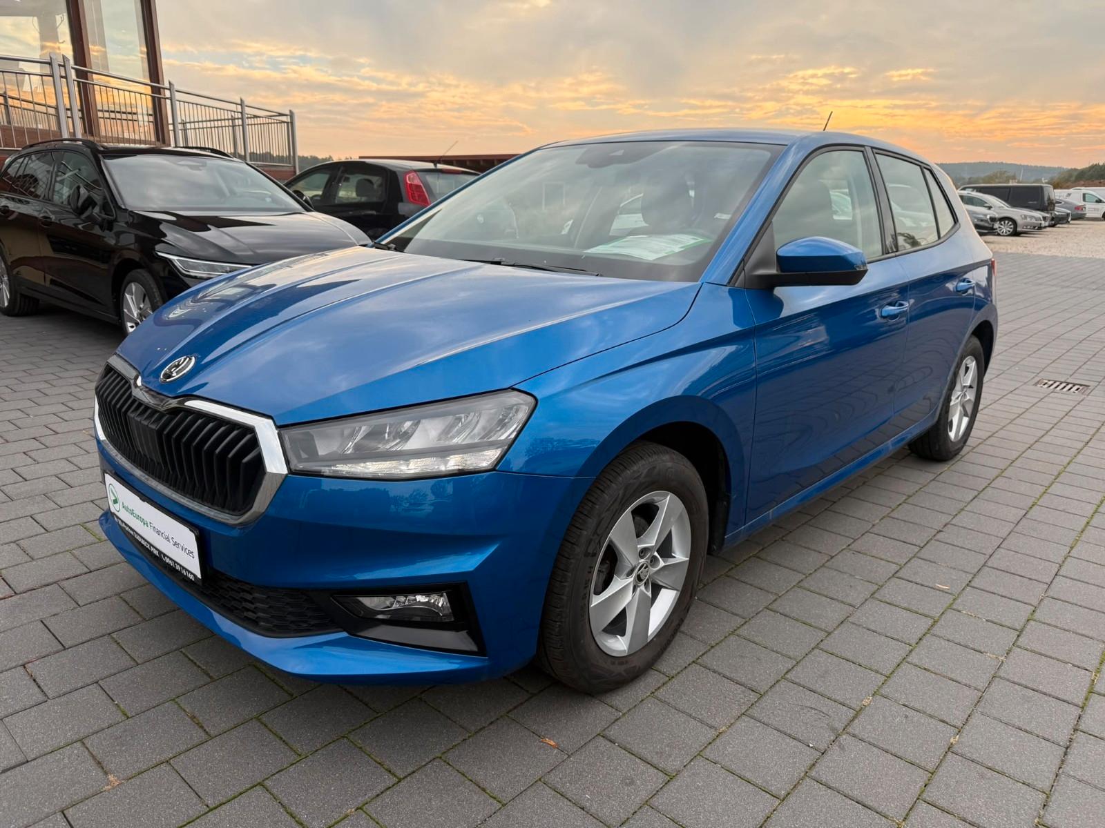Skoda Fabia Selection 1.0 TSI SMARTLINK SHZ GRA PDC AL