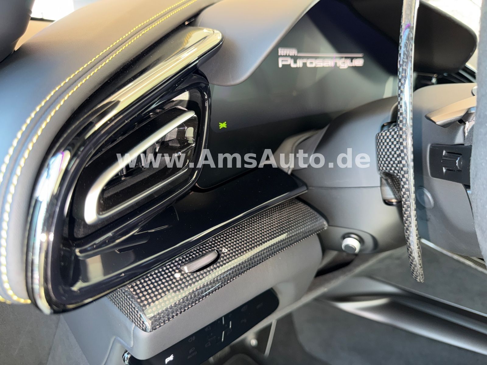 Purosangue Full Carbon Pano Massage