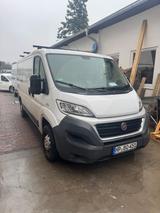 Fiat Ducato Kastenwagen! - Fiat Ducato: Kastenwagen
