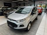 Ford EcoSport Trend - silberne Ford EcoSport