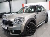 MINI Cooper Countryman Chilli II EXCITEMENT PANORAMA - MINI Cooper Countryman aus 2017
