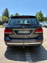 Mercedes-Benz GLE 250 d 4MATIC - - Mercedes-Benz GLE 250 Gebrauchtwagen