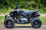 Aeon Cobra 420 LOF Umbau mit Tageszulassung - Offers matching your search criteria