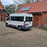Fiat 9sitzer Fiat Ducato - Fiat Ducato: Kleinbus, Sitzer 9