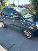 Fiat Panda zu verkaufen - Fiat Panda aus 2015