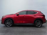 Lexus NX 450h+ Plug in Hybrid F-Sport - Lexus: Nx