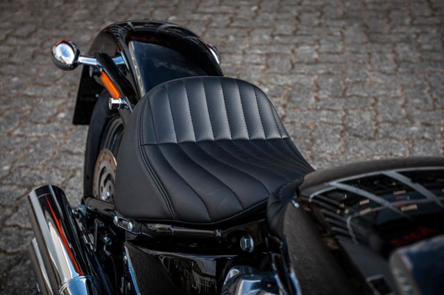 Fahrzeugabbildung Harley-Davidson SOFTAIL STANDARD FXST - JEKILL&HYDE - SPEICHEN