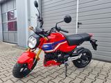 Honda MSX 125 Grom 2026 *6 J. Garantie* - Motorräder in Hannover